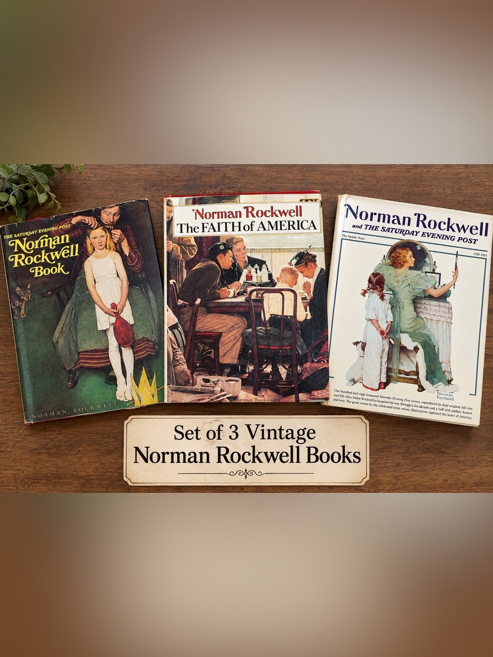 Book cover - Norman Rockwell
